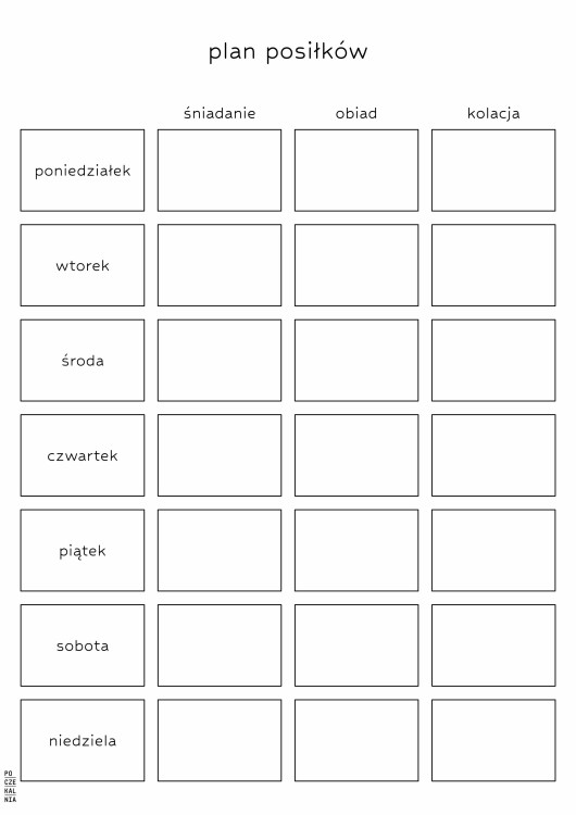 plan posiłków strona.jpg